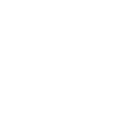 circle-phone icon